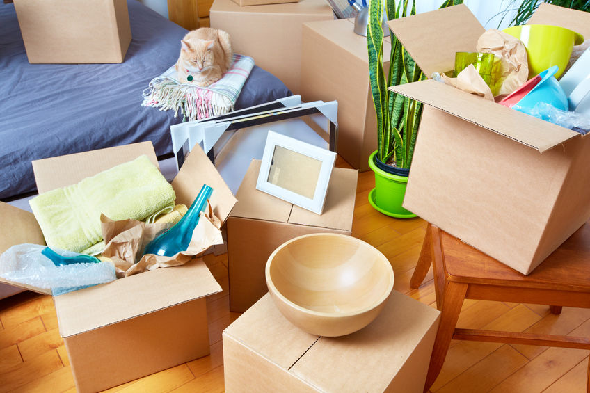 The Ultimate Moving Guide: The Do’s and Don’ts of a Successful Move