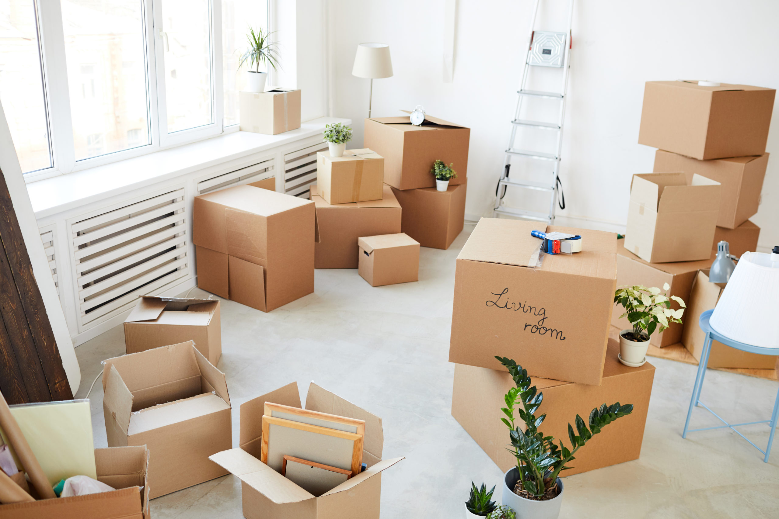 2021 Essentials You Need in Your Moving Day Survival Kit