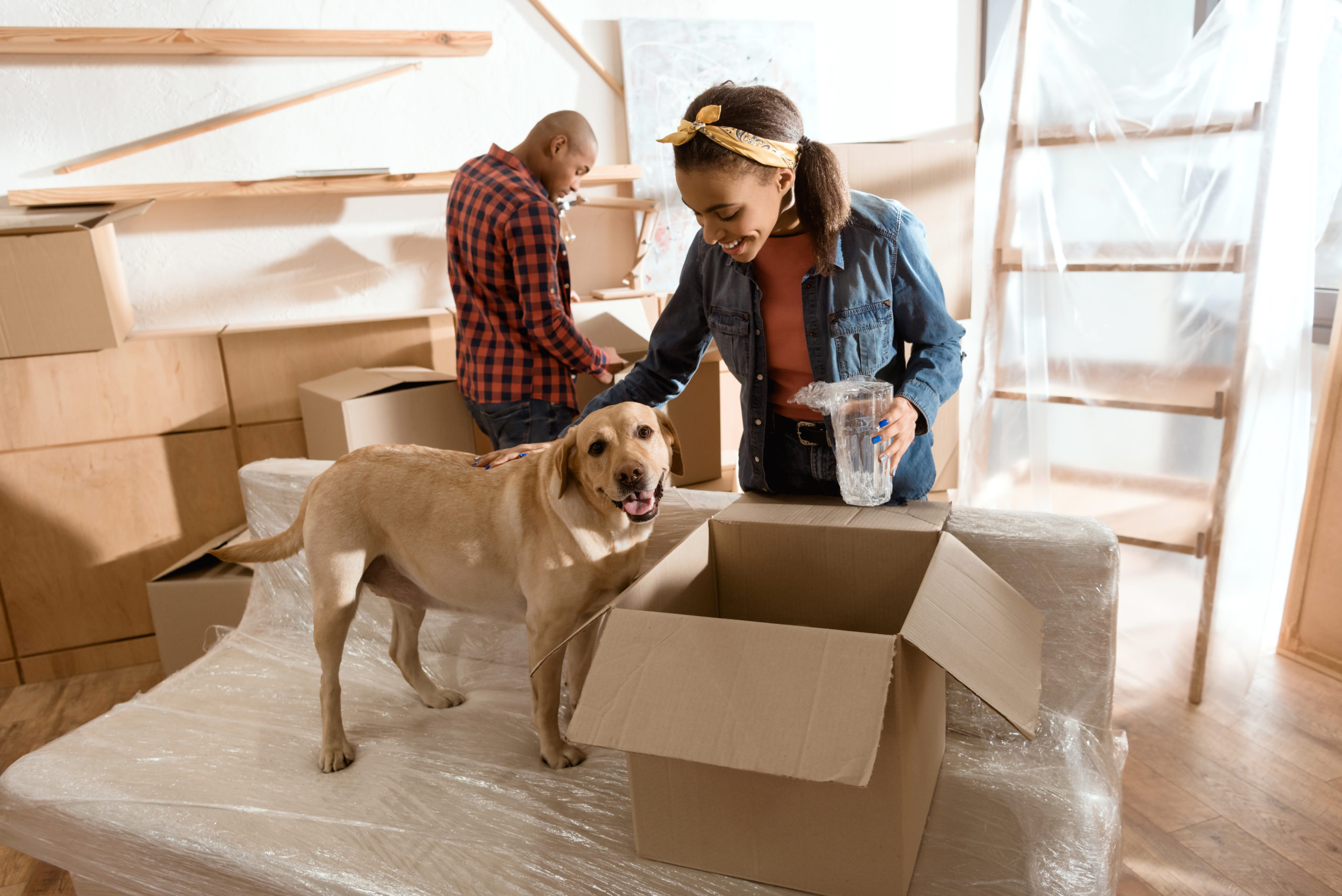11 Tips For Moving With Pets | Your Ultimate Guide